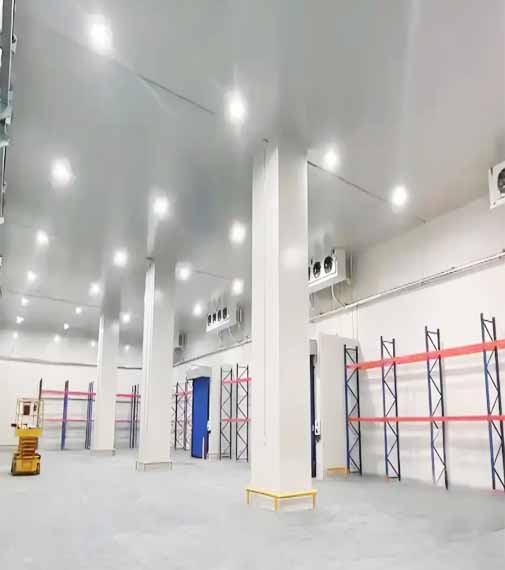 Vegetable cold storage